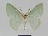  ( - BC EF Alc 00027)  @13 [ ] Copyright (2010) Unspecified Research Collection of Egbert Friedrich