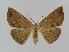  ( - BC EF Alc 00030)  @14 [ ] Copyright (2010) Unspecified Research Collection of Egbert Friedrich