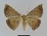  ( - BC EF Alc 00030)  @14 [ ] Copyright (2010) Unspecified Research Collection of Egbert Friedrich