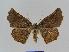  ( - BC EF Alc 00035)  @14 [ ] Copyright (2010) Unspecified Research Collection of Egbert Friedrich