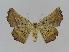  ( - BC EF Alc 00035)  @13 [ ] Copyright (2010) Unspecified Research Collection of Egbert Friedrich