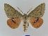 ( - BC EF Alc 00037)  @14 [ ] Copyright (2010) Unspecified Research Collection of Egbert Friedrich