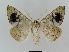  ( - BC EF Alc 00037)  @14 [ ] Copyright (2010) Unspecified Research Collection of Egbert Friedrich