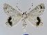  ( - BC EF Alc 00038)  @13 [ ] Copyright (2010) Unspecified Research Collection of Egbert Friedrich