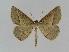  ( - BC EF Alc 00039)  @14 [ ] Copyright (2010) Unspecified Research Collection of Egbert Friedrich