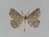  ( - BC EF Alc 00048)  @13 [ ] Copyright (2010) Unspecified Research Collection of Egbert Friedrich