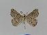  ( - BC EF Alc 00048)  @13 [ ] Copyright (2010) Unspecified Research Collection of Egbert Friedrich