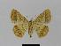  ( - BC EF Lep 00406)  @13 [ ] Copyright (2010) Unspecified Research Collection of Egbert Friedrich
