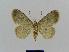  ( - BC EF Lep 00476)  @13 [ ] Copyright (2010) Unspecified Research Collection of Egbert Friedrich