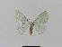  ( - BC EF Lep 00774)  @12 [ ] Copyright (2010) Unspecified Research Collection of Egbert Friedrich