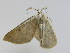  ( - BC TLMF Lep 00007)  @12 [ ] Copyright (2010) Unspecified Tiroler Landesmuseum Ferdinandeum