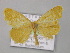  ( - BC ZSM Lep 05658)  @13 [ ] CreativeCommons - Attribution Non-Commercial Share-Alike (2010) Unspecified SNSB, Zoologische Staatssammlung Muenchen