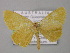  ( - BC ZSM Lep 05659)  @13 [ ] CreativeCommons - Attribution Non-Commercial Share-Alike (2010) Unspecified SNSB, Zoologische Staatssammlung Muenchen