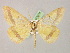  ( - BC ZSM Lep 07074)  @13 [ ] CreativeCommons - Attribution Non-Commercial Share-Alike (2010) Unspecified SNSB, Zoologische Staatssammlung Muenchen