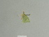  ( - BC ZSM Lep 84752)  @12 [ ] CreativeCommons - Attribution Non-Commercial Share-Alike (2014) Axel Hausmann/Bavarian State Collection of Zoology (ZSM) SNSB, Zoologische Staatssammlung Muenchen