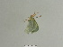  ( - BC ZSM Lep 84754)  @13 [ ] CreativeCommons - Attribution Non-Commercial Share-Alike (2014) Axel Hausmann/Bavarian State Collection of Zoology (ZSM) SNSB, Zoologische Staatssammlung Muenchen