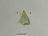  ( - BC ZSM Lep 84758)  @13 [ ] CreativeCommons - Attribution Non-Commercial Share-Alike (2014) Axel Hausmann/Bavarian State Collection of Zoology (ZSM) SNSB, Zoologische Staatssammlung Muenchen