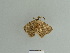 ( - BC ZSM Lep 84874)  @12 [ ] CreativeCommons - Attribution Non-Commercial Share-Alike (2014) Axel Hausmann/Bavarian State Collection of Zoology (ZSM) SNSB, Zoologische Staatssammlung Muenchen