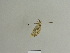  ( - BC ZSM Lep 84969)  @12 [ ] CreativeCommons - Attribution Non-Commercial Share-Alike (2014) Axel Hausmann/Bavarian State Collection of Zoology (ZSM) SNSB, Zoologische Staatssammlung Muenchen