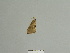  ( - BC ZSM Lep 85048)  @12 [ ] CreativeCommons - Attribution Non-Commercial Share-Alike (2014) Axel Hausmann/Bavarian State Collection of Zoology (ZSM) SNSB, Zoologische Staatssammlung Muenchen