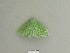  ( - BC ZSM Lep 85096)  @12 [ ] CreativeCommons - Attribution Non-Commercial Share-Alike (2014) Axel Hausmann/Bavarian State Collection of Zoology (ZSM) SNSB, Zoologische Staatssammlung Muenchen