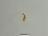  ( - BC ZSM Lep 85117)  @12 [ ] CreativeCommons - Attribution Non-Commercial Share-Alike (2014) Axel Hausmann/Bavarian State Collection of Zoology (ZSM) SNSB, Zoologische Staatssammlung Muenchen
