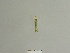  ( - BC ZSM Lep 85122)  @12 [ ] CreativeCommons - Attribution Non-Commercial Share-Alike (2014) Axel Hausmann/Bavarian State Collection of Zoology (ZSM) SNSB, Zoologische Staatssammlung Muenchen