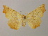  ( - BC ZSM Lep add 0061)  @14 [ ] CreativeCommons - Attribution Non-Commercial Share-Alike (2010) Unspecified SNSB, Zoologische Staatssammlung Muenchen