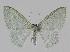  ( - BC EF Lep 00846)  @14 [ ] Copyright (2010) Unspecified Research Collection of Egbert Friedrich