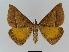  ( - BC EF Lep 01000)  @14 [ ] Copyright (2010) Unspecified Research Collection of Egbert Friedrich