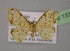  ( - BC ZSM Lep 13777)  @12 [ ] CreativeCommons - Attribution Non-Commercial Share-Alike (2010) Unspecified SNSB, Zoologische Staatssammlung Muenchen