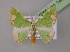  ( - BC ZSM Lep 14757)  @13 [ ] CreativeCommons - Attribution Non-Commercial Share-Alike (2010) Unspecified SNSB, Zoologische Staatssammlung Muenchen