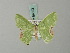  (Uliocnemis elegans - BC ZSM Lep 69523)  @13 [ ] CreativeCommons - Attribution Non-Commercial Share-Alike (2013) Axel Hausmann/Bavarian State Collection of Zoology (ZSM) SNSB, Zoologische Staatssammlung Muenchen