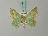  ( - BC ZSM Lep 69530)  @11 [ ] CreativeCommons - Attribution Non-Commercial Share-Alike (2013) Axel Hausmann/Bavarian State Collection of Zoology (ZSM) SNSB, Zoologische Staatssammlung Muenchen