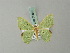  (Comibaena quadrinotata - BC ZSM Lep 69545)  @11 [ ] CreativeCommons - Attribution Non-Commercial Share-Alike (2013) Axel Hausmann/Bavarian State Collection of Zoology (ZSM) SNSB, Zoologische Staatssammlung Muenchen