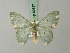  ( - BC ZSM Lep 69657)  @11 [ ] CreativeCommons - Attribution Non-Commercial Share-Alike (2013) Axel Hausmann/Bavarian State Collection of Zoology (ZSM) SNSB, Zoologische Staatssammlung Muenchen