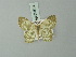  ( - BC ZSM Lep 69810)  @11 [ ] CreativeCommons - Attribution Non-Commercial Share-Alike (2013) Axel Hausmann/Bavarian State Collection of Zoology (ZSM) SNSB, Zoologische Staatssammlung Muenchen