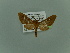 ( - BC ZSM Lep 76636)  @12 [ ] CreativeCommons - Attribution Non-Commercial Share-Alike (2013) Axel Hausmann/Bavarian State Collection of Zoology (ZSM) SNSB, Zoologische Staatssammlung Muenchen