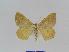 ( - BC EF Lep 01027)  @13 [ ] Copyright (2010) Unspecified Research Collection of Egbert Friedrich