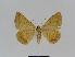 ( - BC EF Lep 01030)  @13 [ ] Copyright (2010) Unspecified Research Collection of Egbert Friedrich