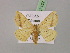  ( - BC ZSM Lep 07152)  @13 [ ] CreativeCommons - Attribution Non-Commercial Share-Alike (2010) Unspecified SNSB, Zoologische Staatssammlung Muenchen