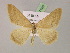  ( - BC ZSM Lep 07160)  @13 [ ] CreativeCommons - Attribution Non-Commercial Share-Alike (2010) Unspecified SNSB, Zoologische Staatssammlung Muenchen