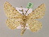  ( - BC ZSM Lep 07165)  @13 [ ] CreativeCommons - Attribution Non-Commercial Share-Alike (2010) Unspecified SNSB, Zoologische Staatssammlung Muenchen