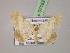 ( - BC ZSM Lep 07182)  @14 [ ] CreativeCommons - Attribution Non-Commercial Share-Alike (2010) Unspecified SNSB, Zoologische Staatssammlung Muenchen