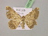  ( - BC ZSM Lep 07213)  @14 [ ] CreativeCommons - Attribution Non-Commercial Share-Alike (2010) Unspecified SNSB, Zoologische Staatssammlung Muenchen