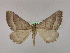  ( - BC ZSM Lep 09724)  @13 [ ] CreativeCommons - Attribution Non-Commercial Share-Alike (2010) Unspecified SNSB, Zoologische Staatssammlung Muenchen