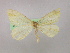  ( - BC ZSM Lep 09866)  @13 [ ] CreativeCommons - Attribution Non-Commercial Share-Alike (2010) Unspecified SNSB, Zoologische Staatssammlung Muenchen