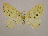  ( - BC ZSM Lep 09888)  @13 [ ] CreativeCommons - Attribution Non-Commercial Share-Alike (2010) Unspecified SNSB, Zoologische Staatssammlung Muenchen