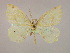  ( - BC ZSM Lep 09893)  @13 [ ] CreativeCommons - Attribution Non-Commercial Share-Alike (2010) Unspecified SNSB, Zoologische Staatssammlung Muenchen