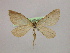  ( - BC ZSM Lep 09925)  @13 [ ] CreativeCommons - Attribution Non-Commercial Share-Alike (2010) Unspecified SNSB, Zoologische Staatssammlung Muenchen